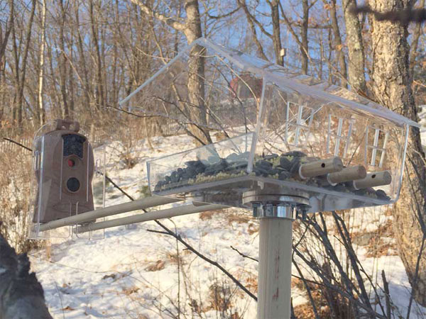 new birdwatching camera from Bolymedia